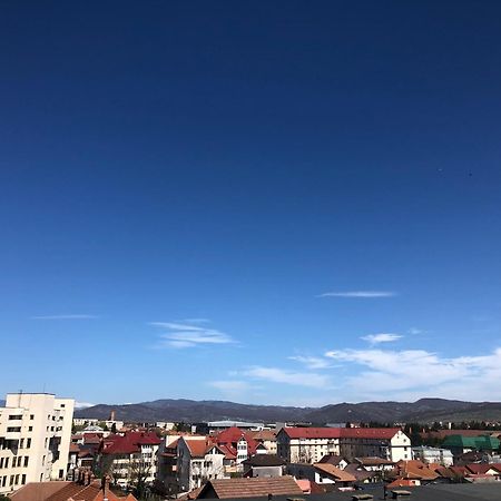 Tif Studio Râmnicu Vâlcea Exteriör bild